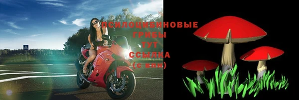 альфа пвп Верхнеуральск