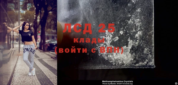 ПСИЛОЦИБИНОВЫЕ ГРИБЫ Верхний Тагил
