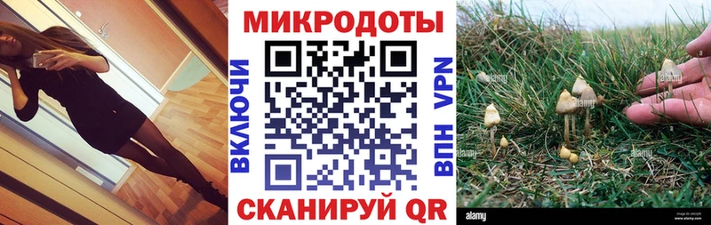Галлюциногенные грибы мухоморы  где можно купить наркотик  дарк нет официальный сайт  Любим 